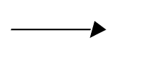 SSI